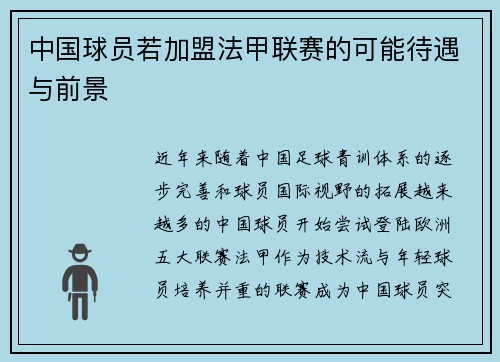 中国球员若加盟法甲联赛的可能待遇与前景